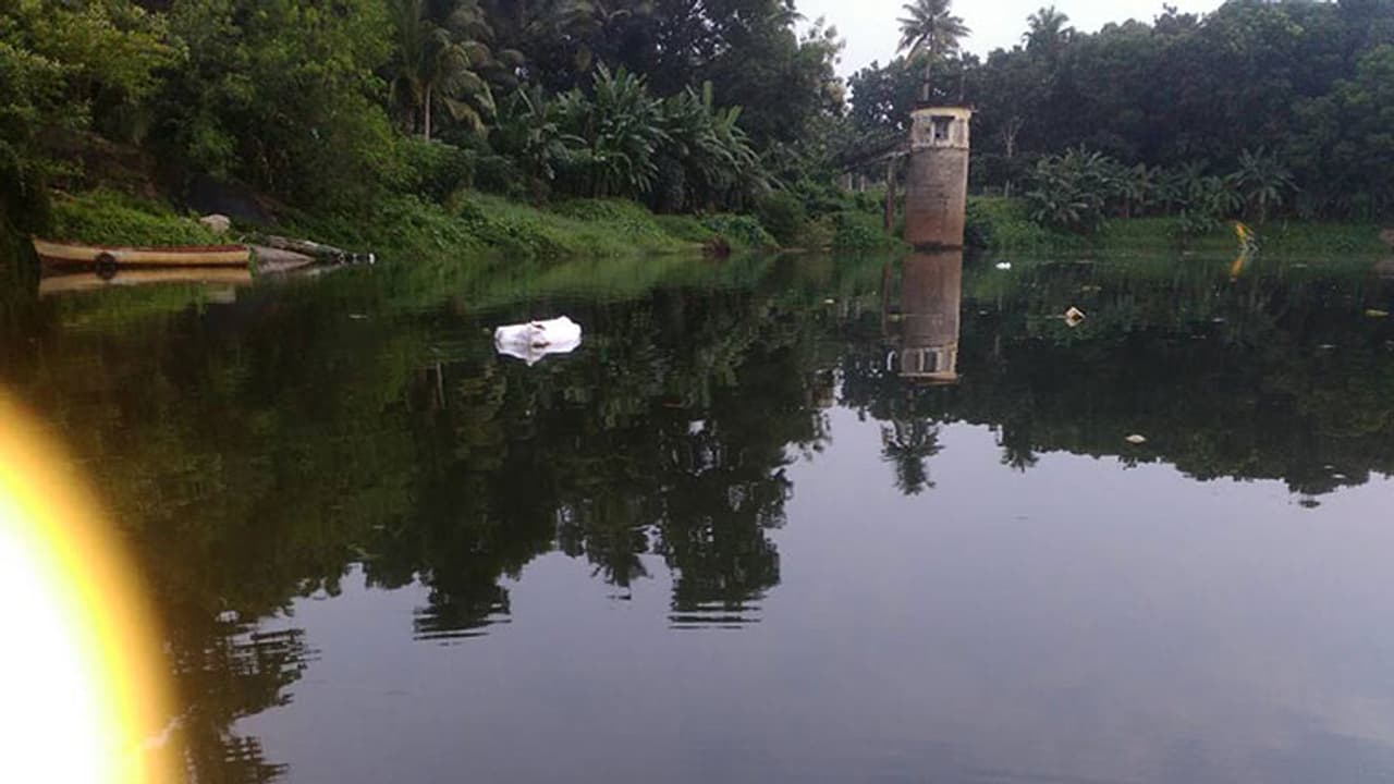 പമ്പ കറുത്തൊഴുകുന്നു; നദിയെ രക്ഷിക്കൂ... പമ്പ കറുത്തൊഴുകുന്നു; നദിയെ രക്ഷിക്കൂ...