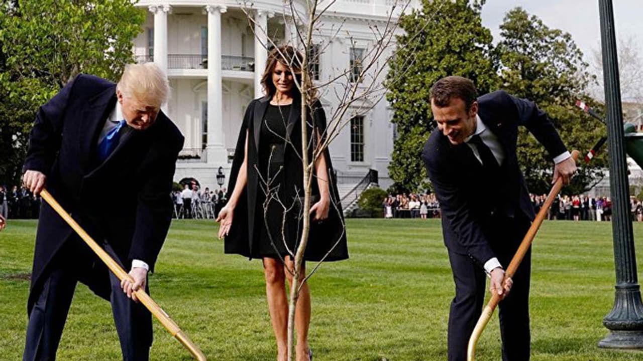 വൈറ്റ് ഹൗസില് നിന്ന് കാണാതായ ഓക്കുമര തൈ കണ്ടെത്തി വൈറ്റ് ഹൗസില് നിന്ന് കാണാതായ ഓക്കുമര തൈ കണ്ടെത്തി