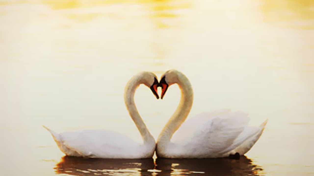 പ്രണയഭ്യർത്ഥന നിരസിച്ച പെൺകുട്ടിയോടുള്ള ജിഷ്ണുവിന്റെ ചോദ്യം ഇന്നേ വരെ ഒരു കാമുകനും ചോദിച്ചിട്ടുണ്ടാകില്ല!!! പ്രണയഭ്യർത്ഥന നിരസിച്ച പെൺകുട്ടിയോടുള്ള ജിഷ്ണുവിന്റെ ചോദ്യം ഇന്നേ വരെ ഒരു കാമുകനും ചോദിച്ചിട്ടുണ്ടാകില്ല!!!