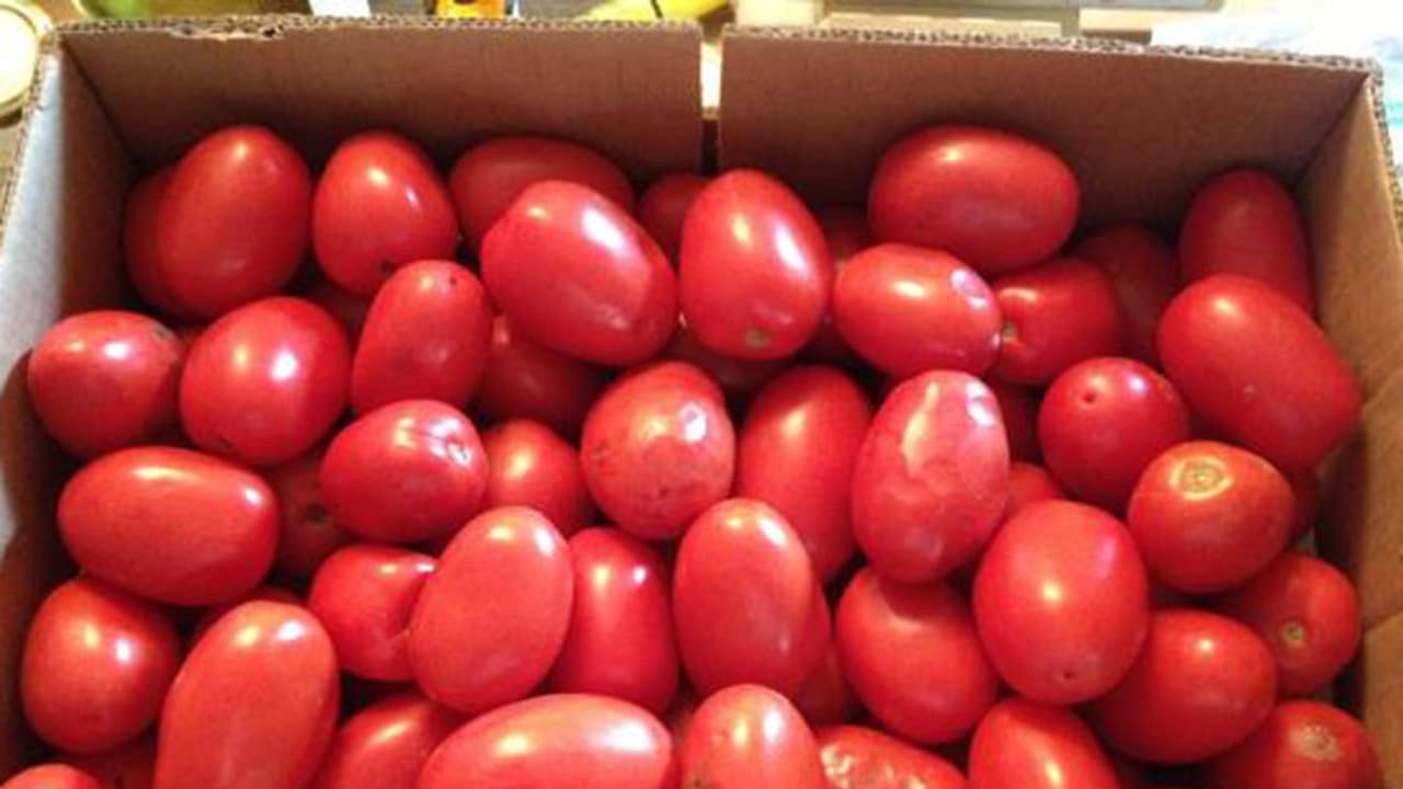 ಪೆಟ್ರೋಲ್ ಗಿಂತಲೂ ದುಬಾರಿಯಾಯ್ತು ಟೊಮೆಟೊ : ಅಬ್ಬಬ್ಬಾ..! ಪೆಟ್ರೋಲ್ ಗಿಂತಲೂ ದುಬಾರಿಯಾಯ್ತು ಟೊಮೆಟೊ : ಅಬ್ಬಬ್ಬಾ..!