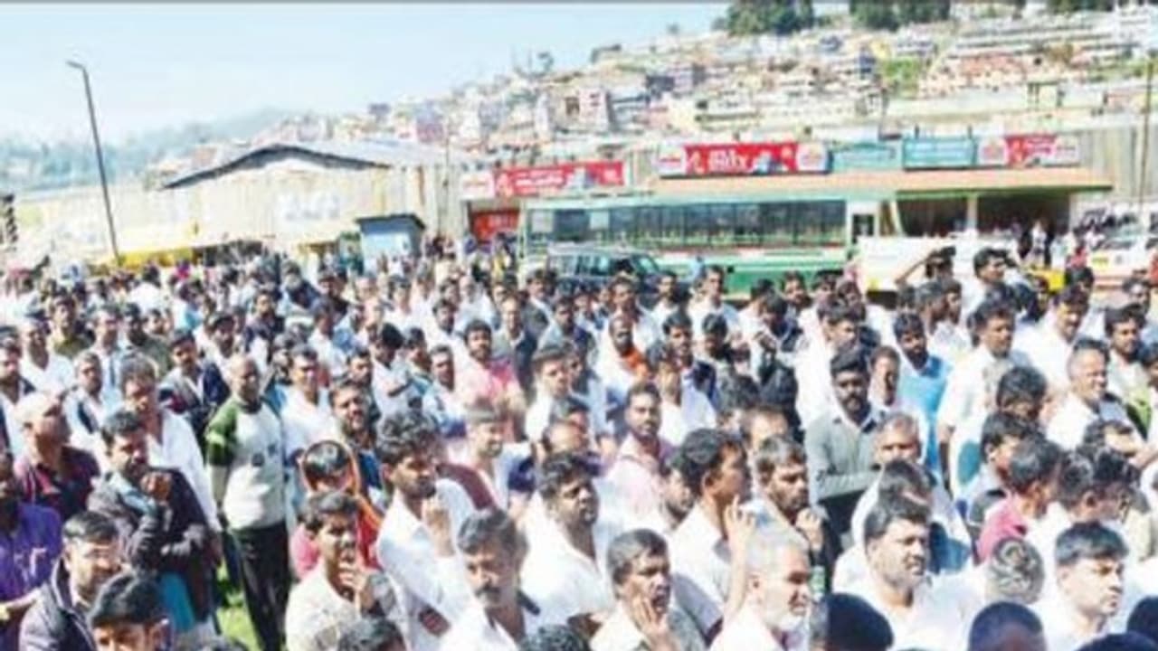 நீலகிரியில் கால் டாக்சிகளை இயக்க அனுமதிக்கக் கூடாது சுற்றுலா வாகன ஓட்டுனர்கள் வேலைநிறுத்தம்... நீலகிரியில் கால் டாக்சிகளை இயக்க அனுமதிக்கக் கூடாது சுற்றுலா வாகன ஓட்டுனர்கள் வேலைநிறுத்தம்...