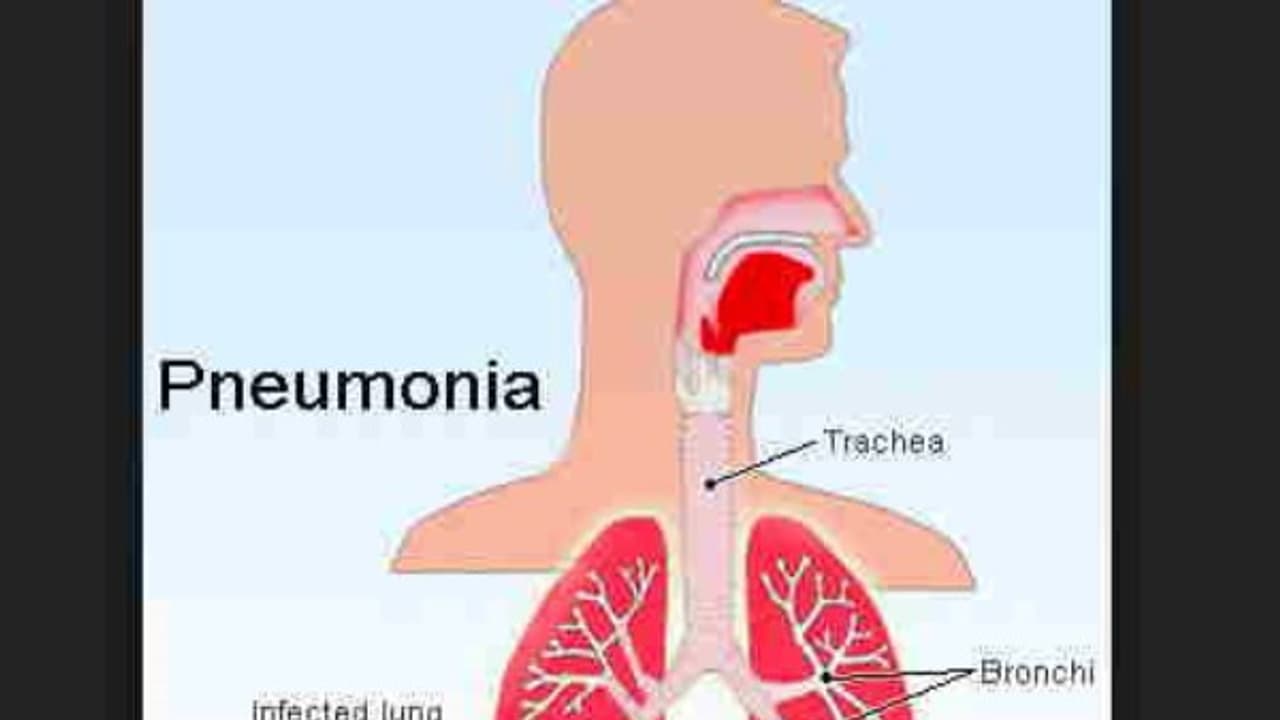 நுரையீரலில் இருக்கும் சளியை ஒரே நாளில் விரட்டும் தேன் உறை; பக்க விளைவு இல்லாதது... நுரையீரலில் இருக்கும் சளியை ஒரே நாளில் விரட்டும் தேன் உறை; பக்க விளைவு இல்லாதது...