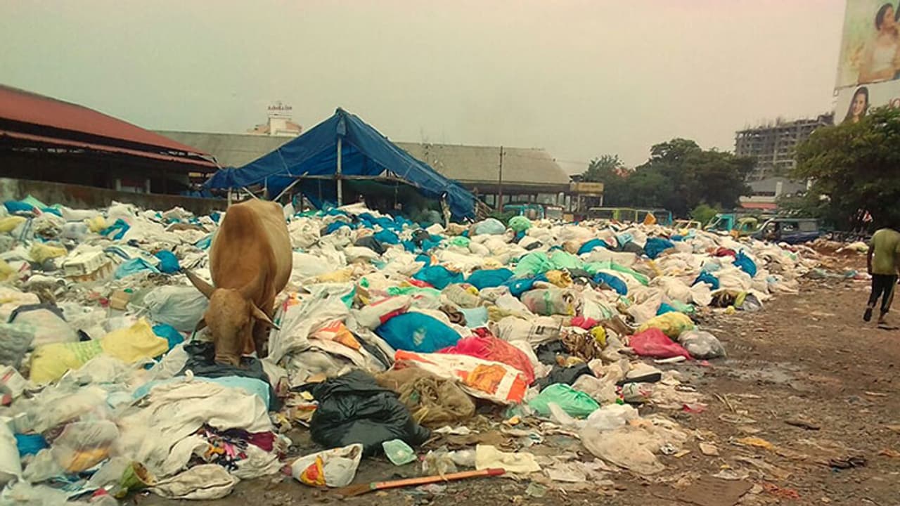 മാലിന്യ സംസ്കരണ പ്ലാന്റില് നിന്നും മാലിന്യം റോഡിലേക്കൊഴുകുന്നു; രോഗ ഭീതിയില് തൃശൂര് നഗരം മാലിന്യ സംസ്കരണ പ്ലാന്റില് നിന്നും മാലിന്യം റോഡിലേക്കൊഴുകുന്നു; രോഗ ഭീതിയില് തൃശൂര് നഗരം