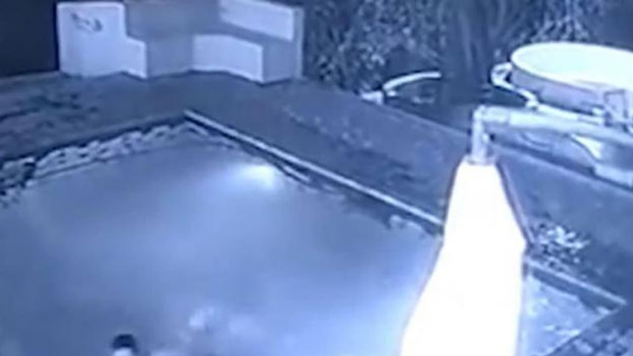 ಹೊಟೇಲ್'ನ ಸ್ವಿಮ್ಮಿಂಗ್ ಪೂಲ್'ನಲ್ಲಿ ಈಜುತ್ತಿದ್ದ ಯುವಜೋಡಿ ಮೇಲೆ ದಾಳಿ ನಡೆಸಿದ 6 ಅಡಿ ಉದ್ದದ ಮೊಸಳೆ!