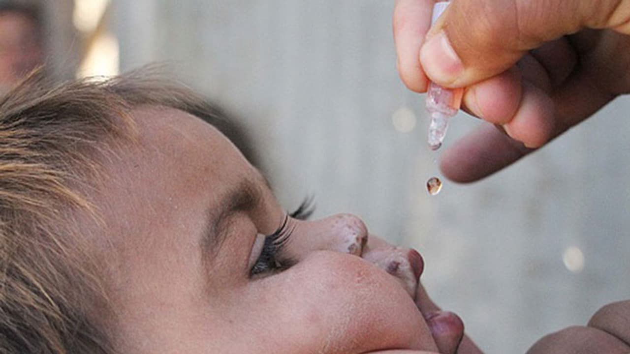 Five years of polio free certification; efforts continue to protect children