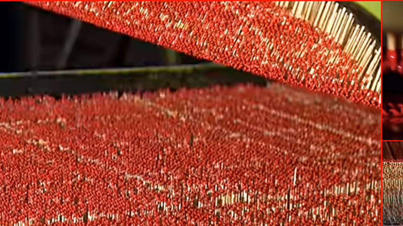 (ವಿಡಿಯೋ)ಬೆಂಕಿ ಕಡ್ಡಿಗಳನ್ನು ಹೇಗೆ ತಯಾರಿಸುತ್ತಾರೆ ಗೊತ್ತಾ? ಇಲ್ಲಿದೆ ಕಣ್ಸೆಳೆಯುವ ಅದ್ಭುತ ದೃಶ್ಯ (ವಿಡಿಯೋ)ಬೆಂಕಿ ಕಡ್ಡಿಗಳನ್ನು ಹೇಗೆ ತಯಾರಿಸುತ್ತಾರೆ ಗೊತ್ತಾ? ಇಲ್ಲಿದೆ ಕಣ್ಸೆಳೆಯುವ ಅದ್ಭುತ ದೃಶ್ಯ