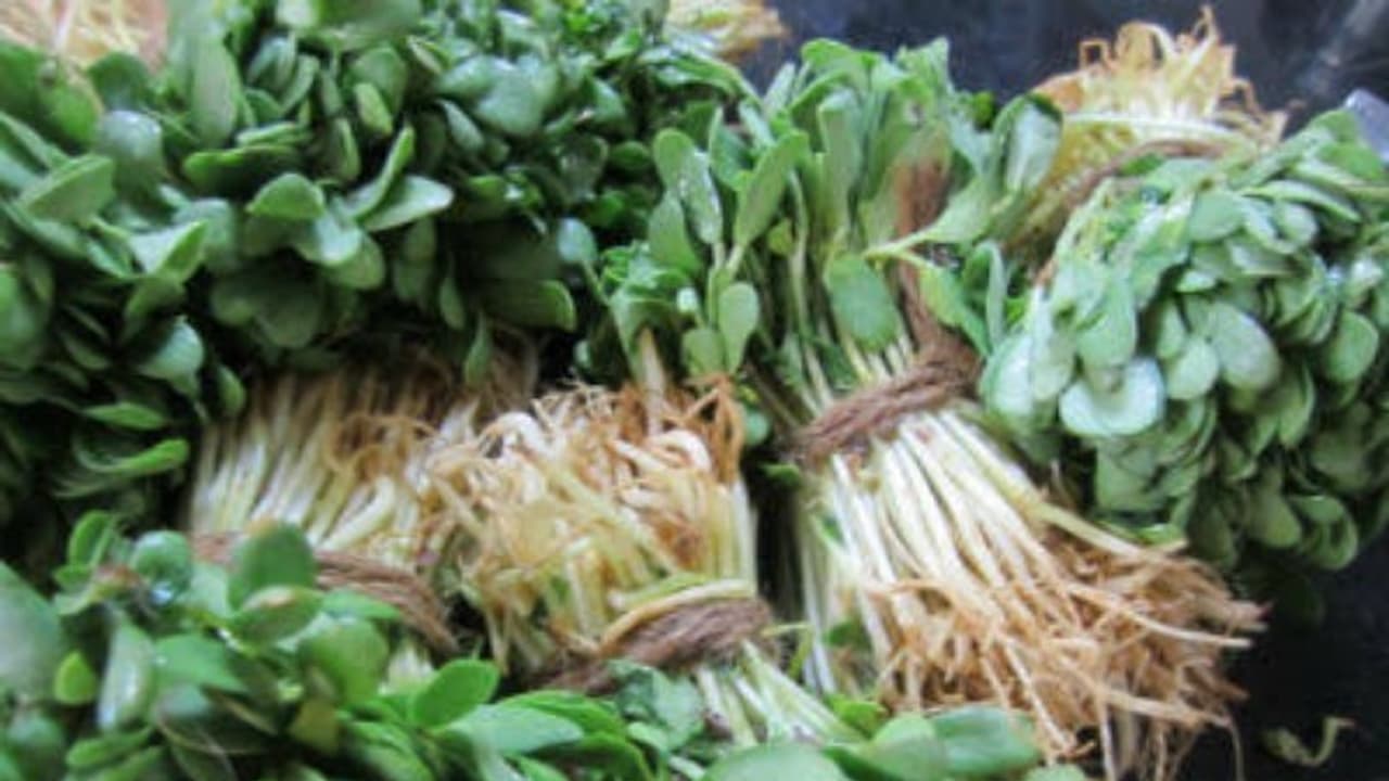 கல்லீரலை பலமாக்க வெந்தயக்கீரையை சாப்பிடலாம்… கல்லீரலை பலமாக்க வெந்தயக்கீரையை சாப்பிடலாம்…