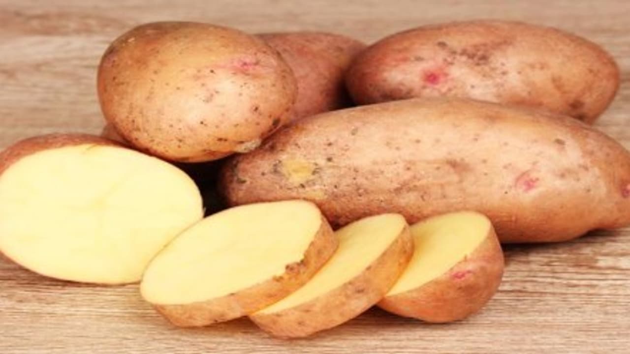 உருளைக்கிழங்கைப் பற்றி நீங்கள் தெரிந்துகொள்ள வேண்டிய சில பொதுவான தகவல்கள்… உருளைக்கிழங்கைப் பற்றி நீங்கள் தெரிந்துகொள்ள வேண்டிய சில பொதுவான தகவல்கள்…