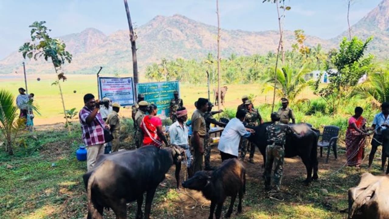 கொடைக்கானலில் வன உயிரின சரணாலயம் அமைக்க எதிர்ப்பு தெரிவித்தவர்களோடு அமைதிப் பேச்சுவார்த்தை... கொடைக்கானலில் வன உயிரின சரணாலயம் அமைக்க எதிர்ப்பு தெரிவித்தவர்களோடு அமைதிப் பேச்சுவார்த்தை...