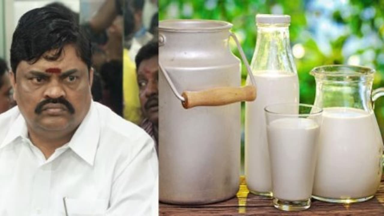 "தனியார் பாலால் குழந்தைகளுக்கு கூட புற்று நோய் வருகிறது" ராஜேந்திர பாலாஜி பகீர் தகவல் "தனியார் பாலால் குழந்தைகளுக்கு கூட புற்று நோய் வருகிறது" ராஜேந்திர பாலாஜி பகீர் தகவல்