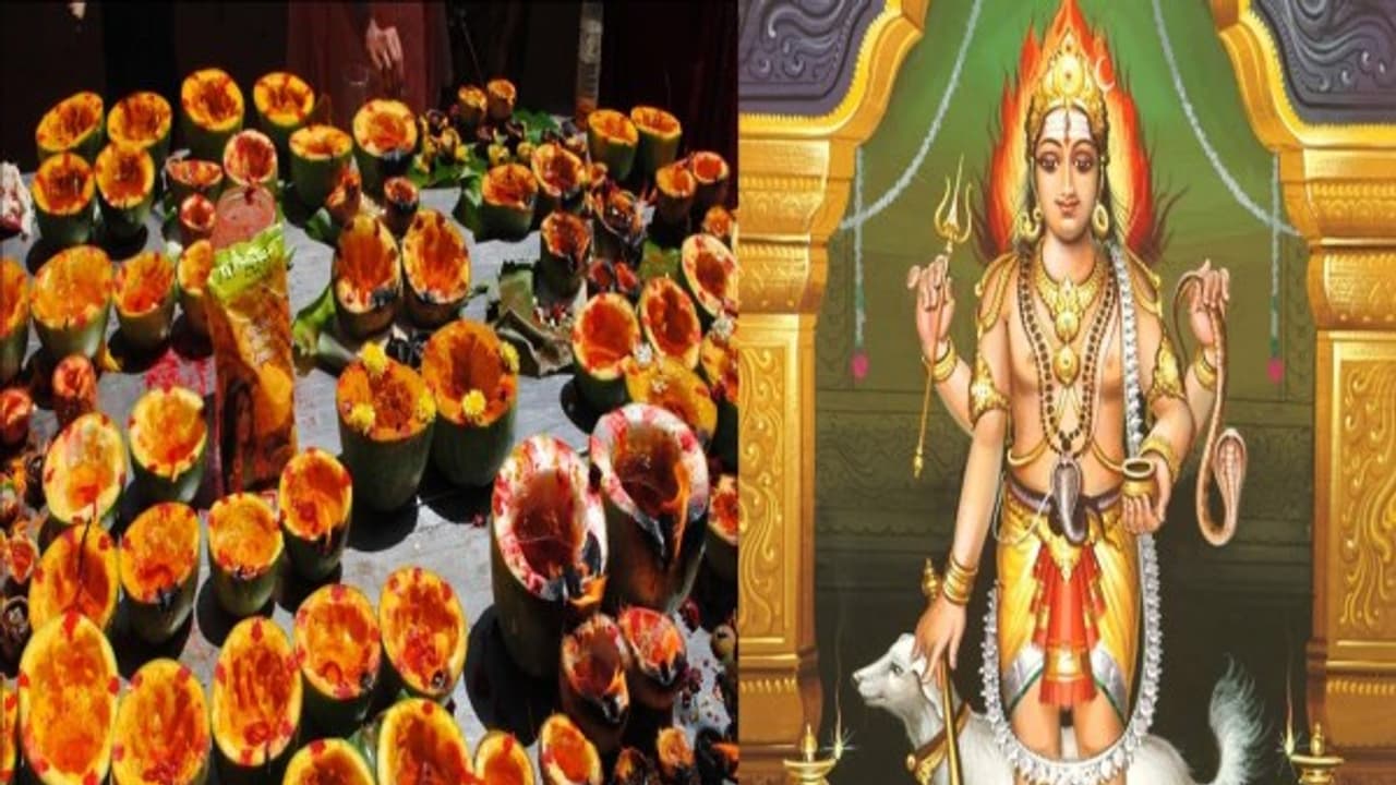 இன்று (ஜூன் 6 ) இரவு 8 மணிக்கு செய்ய வேண்டிய மிக முக்கிய வழிபாடு...! மீண்டும் கிடைக்காத நாள்..! 8 லட்சுமியும் குடியேறும் முக்கிய தினம்...! இன்று (ஜூன் 6 ) இரவு 8 மணிக்கு செய்ய வேண்டிய மிக முக்கிய வழிபாடு...! மீண்டும் கிடைக்காத நாள்..! 8 லட்சுமியும் குடியேறும் முக்கிய தினம்...!