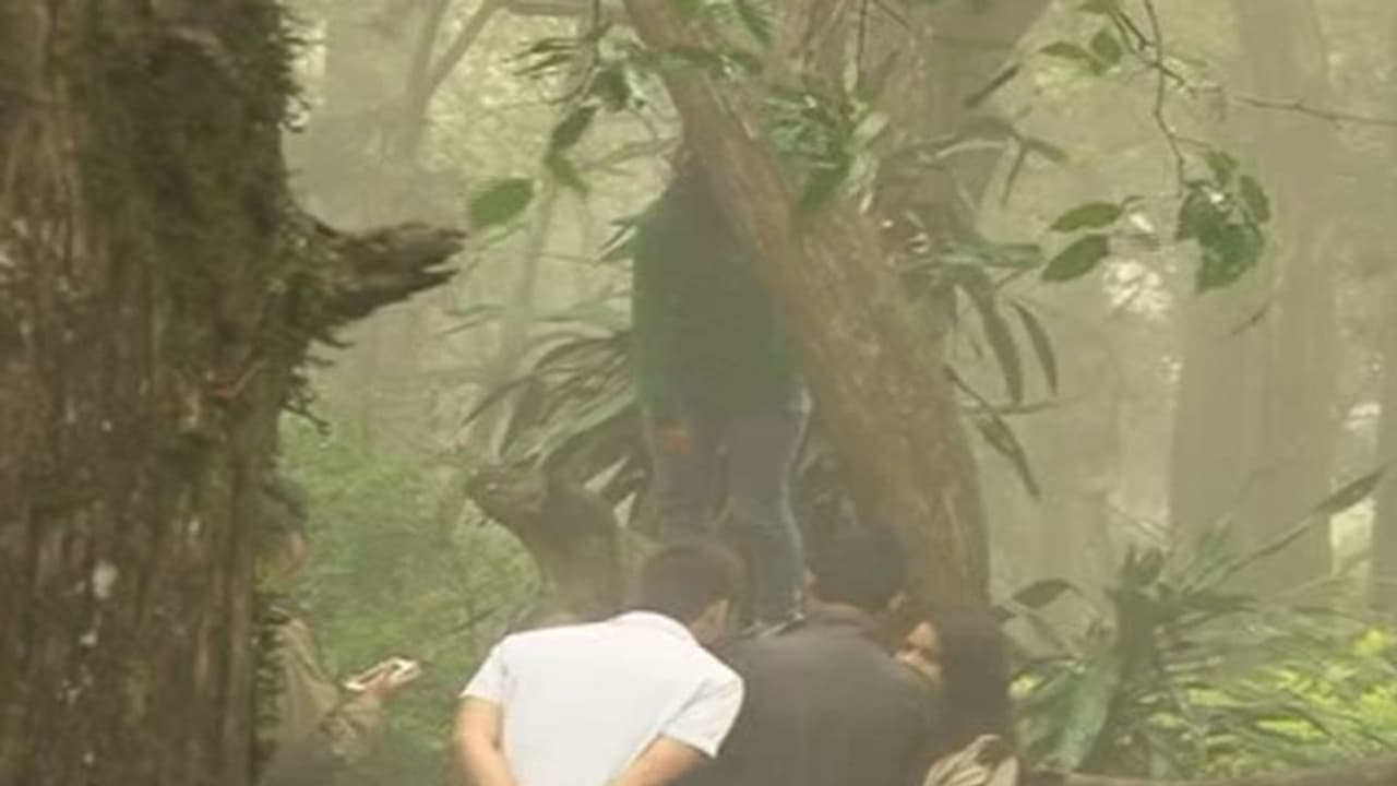 ಪ್ರೇಮಿಗಳೆ ನಂದಿ ಬೆಟ್ಟದಲ್ಲಿ ರೊಮ್ಯಾನ್ಸ್ ಮಾಡುವಾಗ ಎಚ್ಚರ ಪ್ರೇಮಿಗಳೆ ನಂದಿ ಬೆಟ್ಟದಲ್ಲಿ ರೊಮ್ಯಾನ್ಸ್ ಮಾಡುವಾಗ ಎಚ್ಚರ