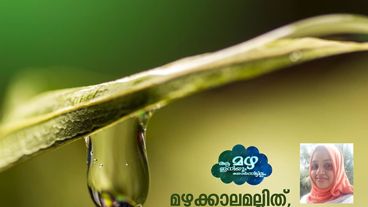ചാരായം മണക്കുന്നൊരു മഴ!