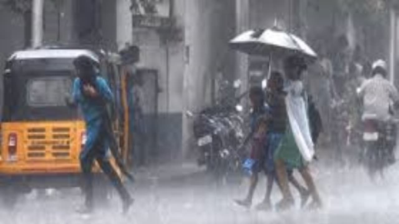 ಮಳೆಗೆ ಉತ್ತರ ಭಾರತ ತತ್ತರ; 11 ಮಂದಿ ಬಲಿ ಮಳೆಗೆ ಉತ್ತರ ಭಾರತ ತತ್ತರ; 11 ಮಂದಿ ಬಲಿ