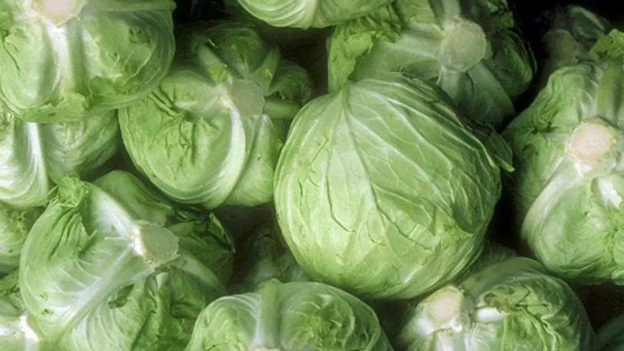 ಮಾರುಕಟ್ಟೆಗೆ ಬಂದಿದೆ ಪ್ಲಾಸ್ಟಿಕ್‌ ಕೋಸು!