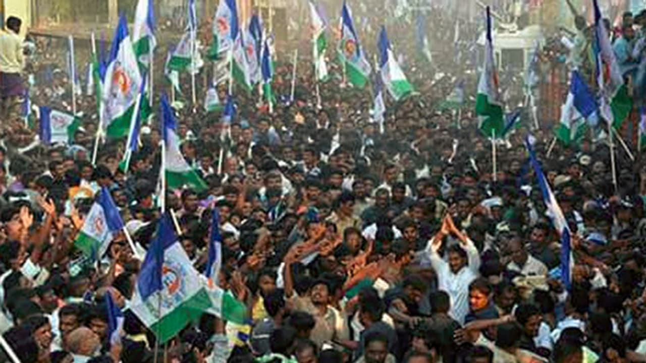 జగన్ పాదయాత్రలో తేనెటీగల దాడి జగన్ పాదయాత్రలో తేనెటీగల దాడి