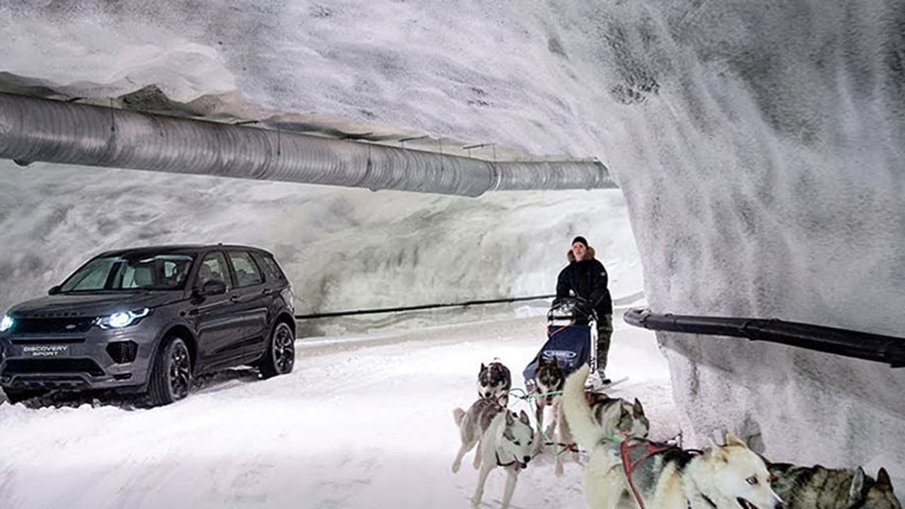 നായ്ക്കളോട് മത്സരിക്കുന്ന ലാൻഡ് റോവർ, വീഡിയോ വൈറല്‍