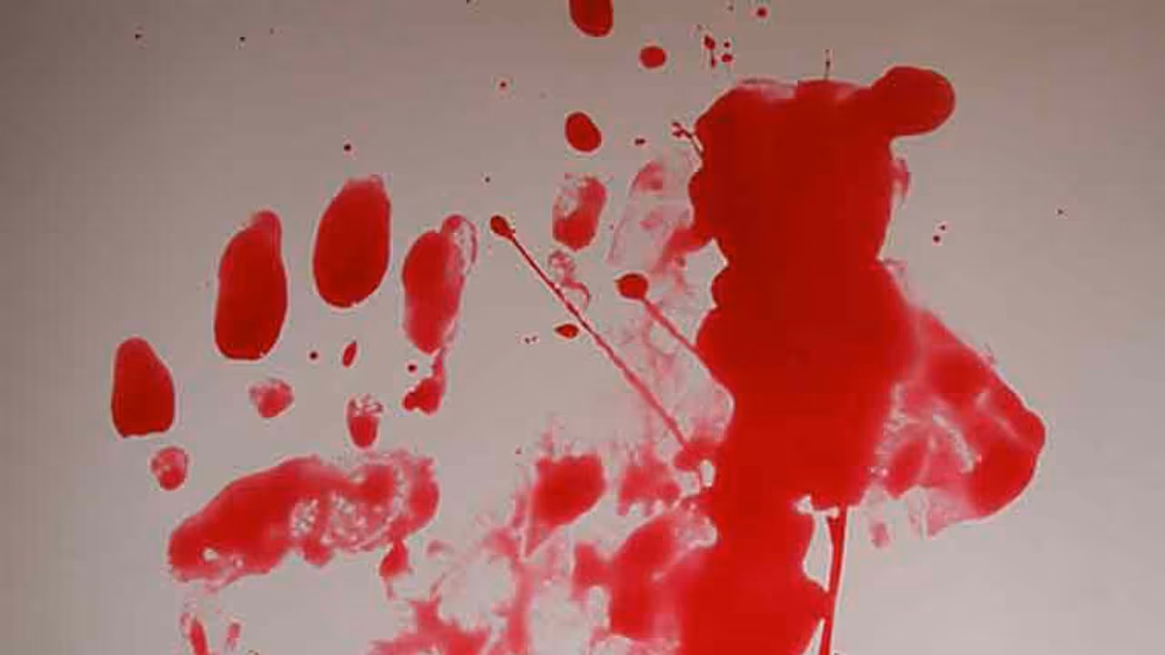 നവവധുവിനെ ഭര്ത്താവ് കല്ലുകൊണ്ട് ഇടിച്ചു കൊന്നു നവവധുവിനെ ഭര്ത്താവ് കല്ലുകൊണ്ട് ഇടിച്ചു കൊന്നു