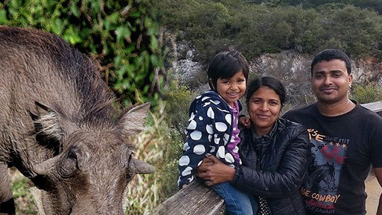 Kerala family in 'vegetative state' in New Zealand after eating toxic wild boar meat Kerala family in 'vegetative state' in New Zealand after eating toxic wild boar meat