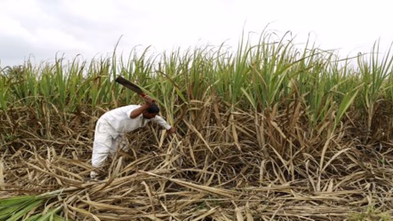 വരള്ച്ച ദുരിതാശ്വാസം: കർഷകർക്കുളള ഇൻഷുറൻസ് തുക ഇനിയും കിട്ടിയിട്ടില്ല വരള്ച്ച ദുരിതാശ്വാസം: കർഷകർക്കുളള ഇൻഷുറൻസ് തുക ഇനിയും കിട്ടിയിട്ടില്ല
