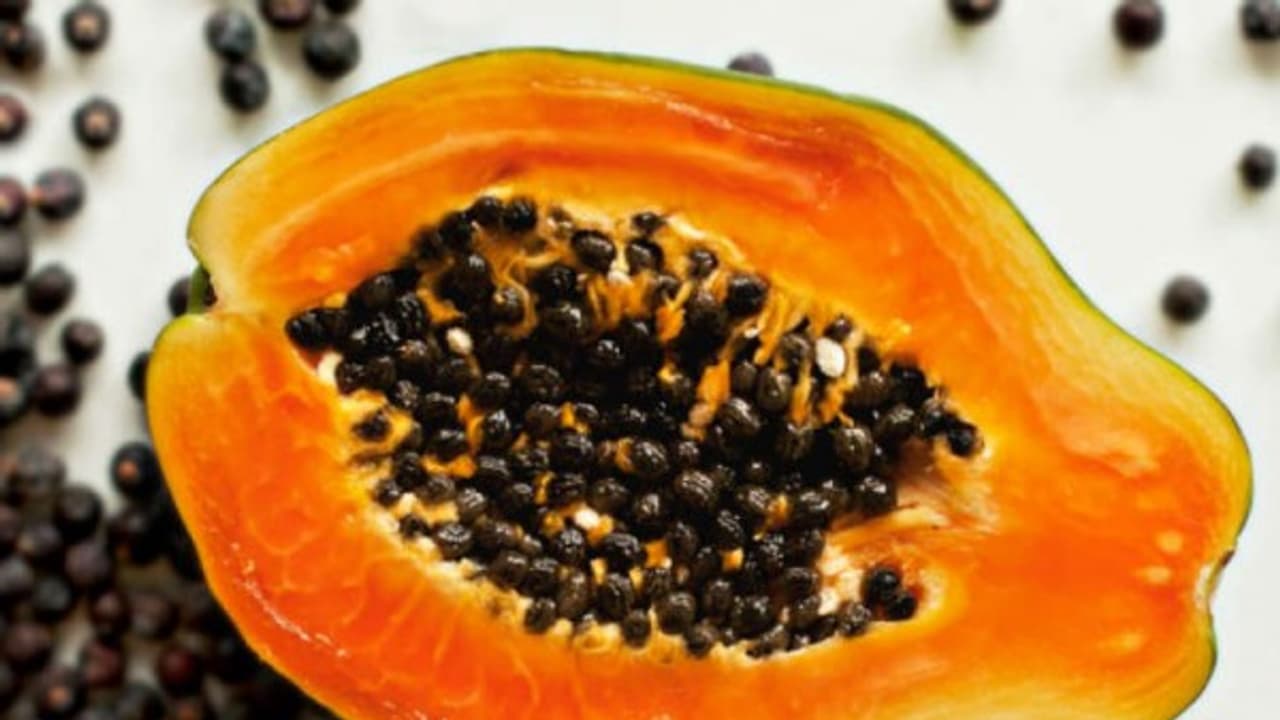 பப்பாளி விதையில் இருக்கும் சத்துகள் நமக்கு எவ்வளவு ஆரோக்கியத்தை தருகின்றன!!! பப்பாளி விதையில் இருக்கும் சத்துகள் நமக்கு எவ்வளவு ஆரோக்கியத்தை தருகின்றன!!!