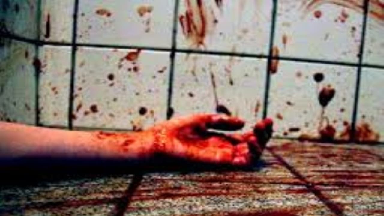 అన్నం పెట్టలేదని కన్నతల్లినే..