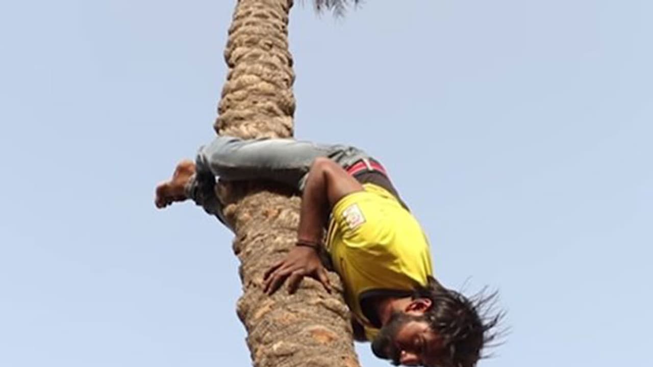 (ವಿಡಿಯೋ) ಈ ವ್ಯಕ್ತಿ ತಲೆಕೆಳಗಾಗಿ ಮರವೇರುತ್ತಾನೆಂದರೆ ನಂಬಲಸಾಧ್ಯ!