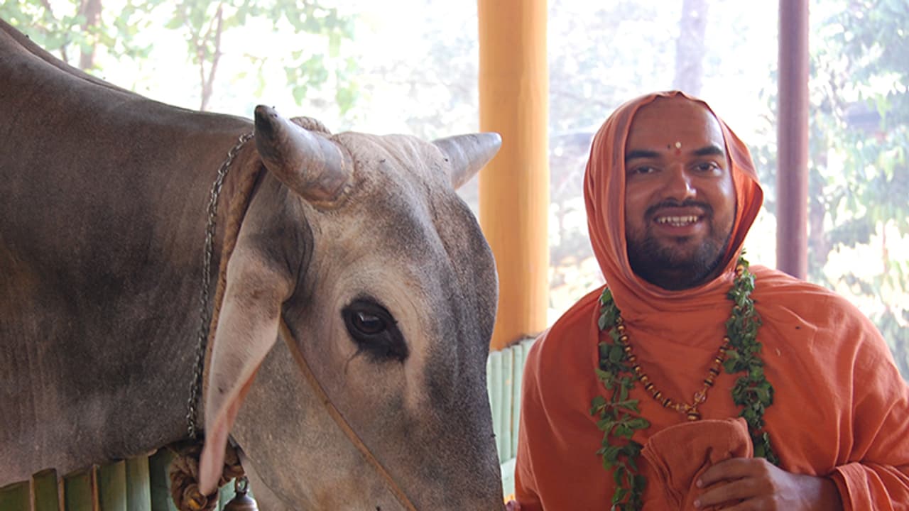 ಗೋವುಗಳ ರಕ್ತ ಹರಿಯುವುದರಿಂದ ದೇಶಕ್ಕೆ ಸೂತಕವಿದ್ದಂತೆ: ರಾಘವೇಶ್ವರ ಸ್ವಾಮೀಜಿ