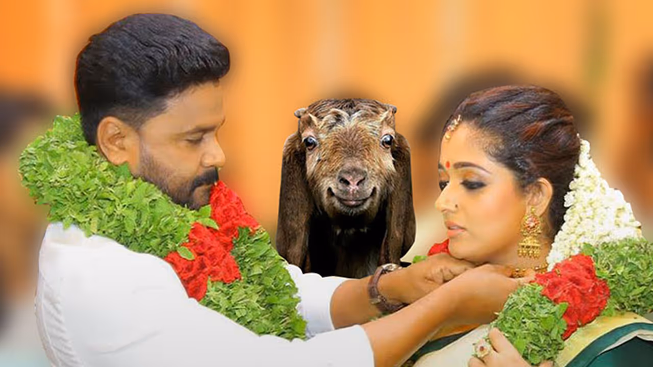 Open Letter: Why Dileep GO(A)T love all wrong Open Letter: Why Dileep GO(A)T love all wrong