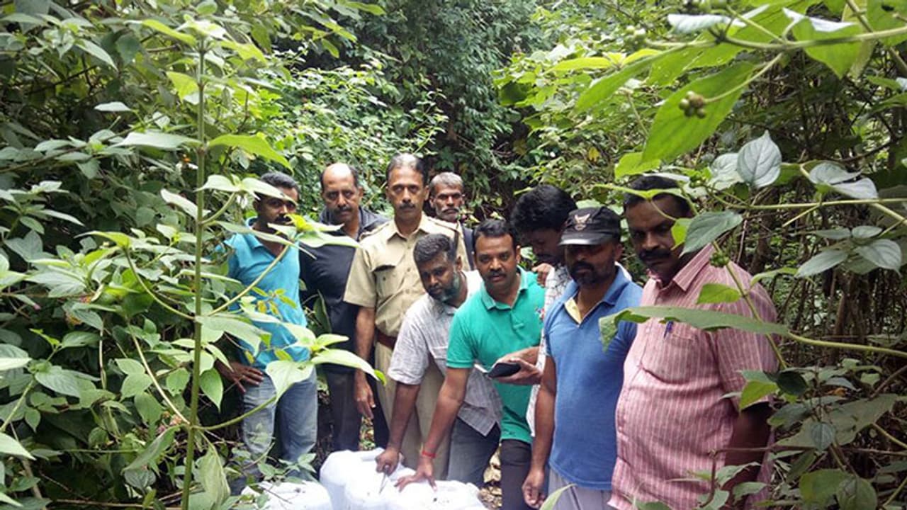 മൂന്നാറിൽ വീണ്ടും വൻ സ്പിരിറ്റ് വേട്ട; 384 ലിറ്റർ സിപിരിറ്റ് പിടികൂടി മൂന്നാറിൽ വീണ്ടും വൻ സ്പിരിറ്റ് വേട്ട; 384 ലിറ്റർ സിപിരിറ്റ് പിടികൂടി