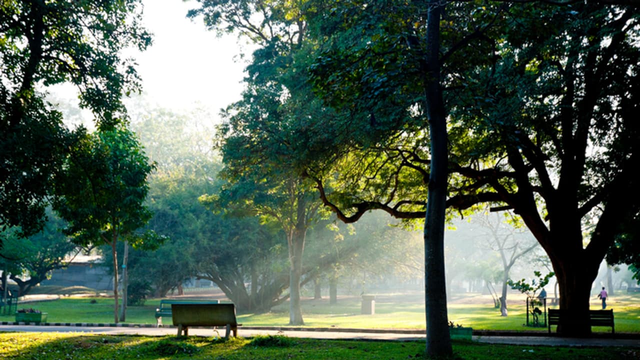 No PDA, no food and no games... Bengaluru's Cubbon Park has new rules now; details here