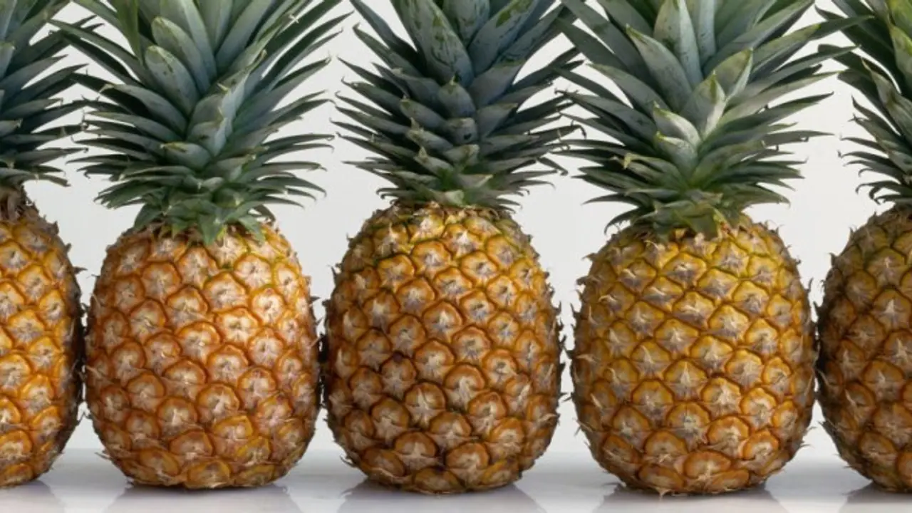 இந்த தீபாவளிக்கு பைனாப்பிளை வைத்து வீட்டுலேயே சுவையான சத்தான இனிப்பை செய்து அசத்துங்கள்..! இந்த தீபாவளிக்கு பைனாப்பிளை வைத்து வீட்டுலேயே சுவையான சத்தான இனிப்பை செய்து அசத்துங்கள்..!