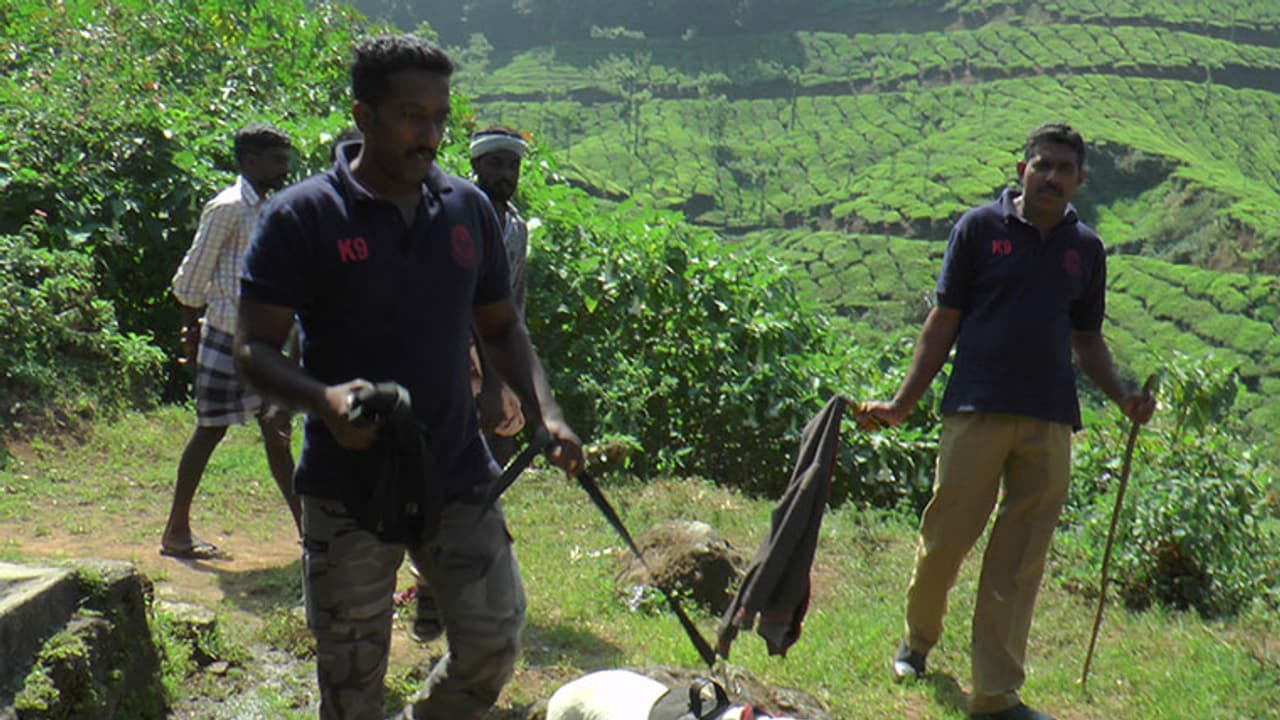 ആറുവയസുകാരന്റെ തിരോധാനം, സൂചനകള് നല്കാനാകാതെ ഡോഗ് സ്ക്വാഡും ആറുവയസുകാരന്റെ തിരോധാനം, സൂചനകള് നല്കാനാകാതെ ഡോഗ് സ്ക്വാഡും