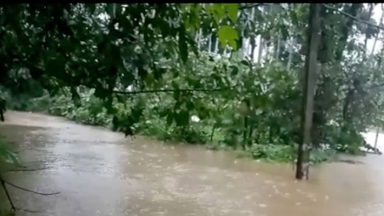 വെള്ളപ്പൊക്കം: വയനാട്ടില് എട്ട് ദുരിതാശ്വാസ ക്യാമ്പുകള് തുറന്നു വെള്ളപ്പൊക്കം: വയനാട്ടില് എട്ട് ദുരിതാശ്വാസ ക്യാമ്പുകള് തുറന്നു