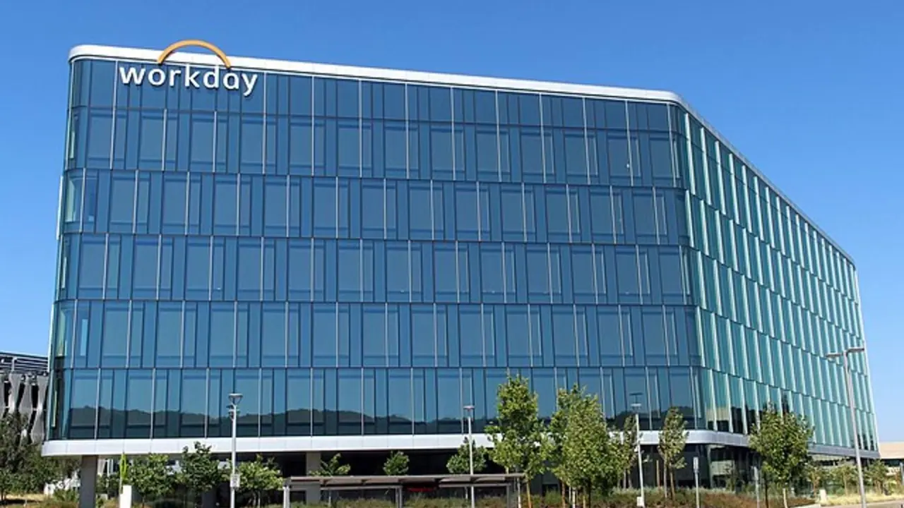 Workday’s ‘Tepid’ Guidance Sinks The Stock But Bullish Retail Ready To Buy The Dip Workday’s ‘Tepid’ Guidance Sinks The Stock But Bullish Retail Ready To Buy The Dip