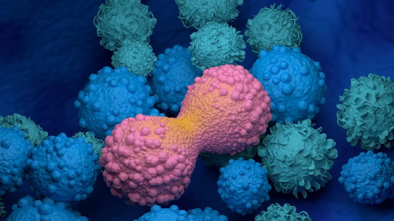 Vincerx Pharma Stock Rises On Proposed Merger With Oqory: Retail Remains Bullish Vincerx Pharma Stock Rises On Proposed Merger With Oqory: Retail Remains Bullish