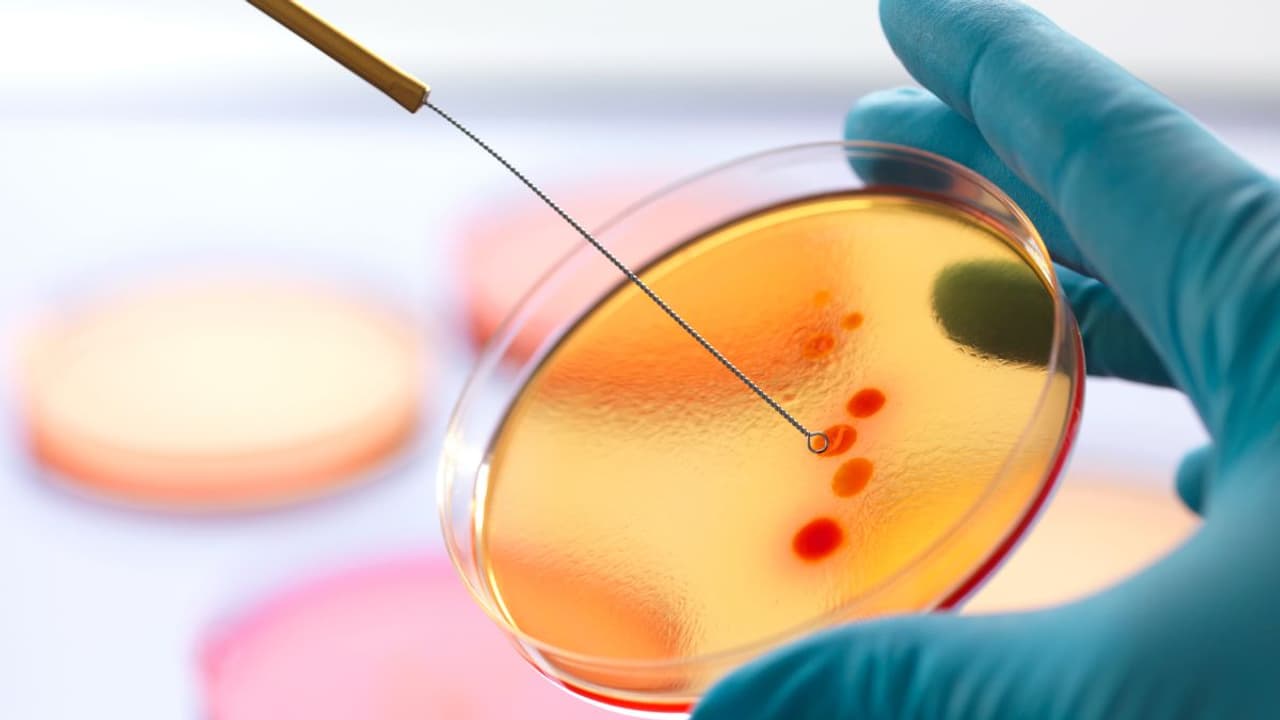 Small Cap Biotech Absci Draws Heavy Attention On $20M AMD Investment Pledge, Retail's Bullish Despite Pre Market Dip Small Cap Biotech Absci Draws Heavy Attention On $20M AMD Investment Pledge, Retail's Bullish Despite Pre Market Dip