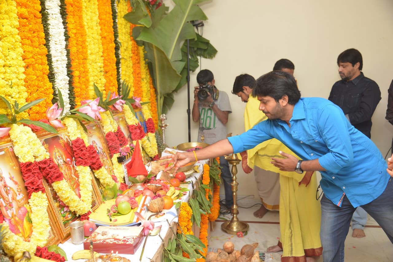 రవితేజ రాజా దిగ్రేట్ మూవీ ప్రారంభోత్సవం గ్యాలరీ రవితేజ రాజా దిగ్రేట్ మూవీ ప్రారంభోత్సవం గ్యాలరీ