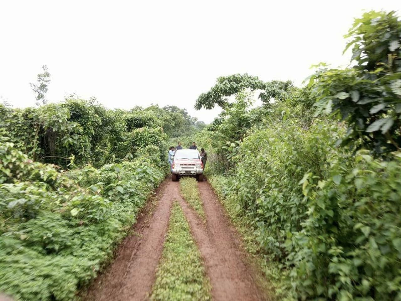 దట్టమైన చాపరాయి అడవుల్లో జగన్ ప్రయాణం దట్టమైన చాపరాయి అడవుల్లో జగన్ ప్రయాణం