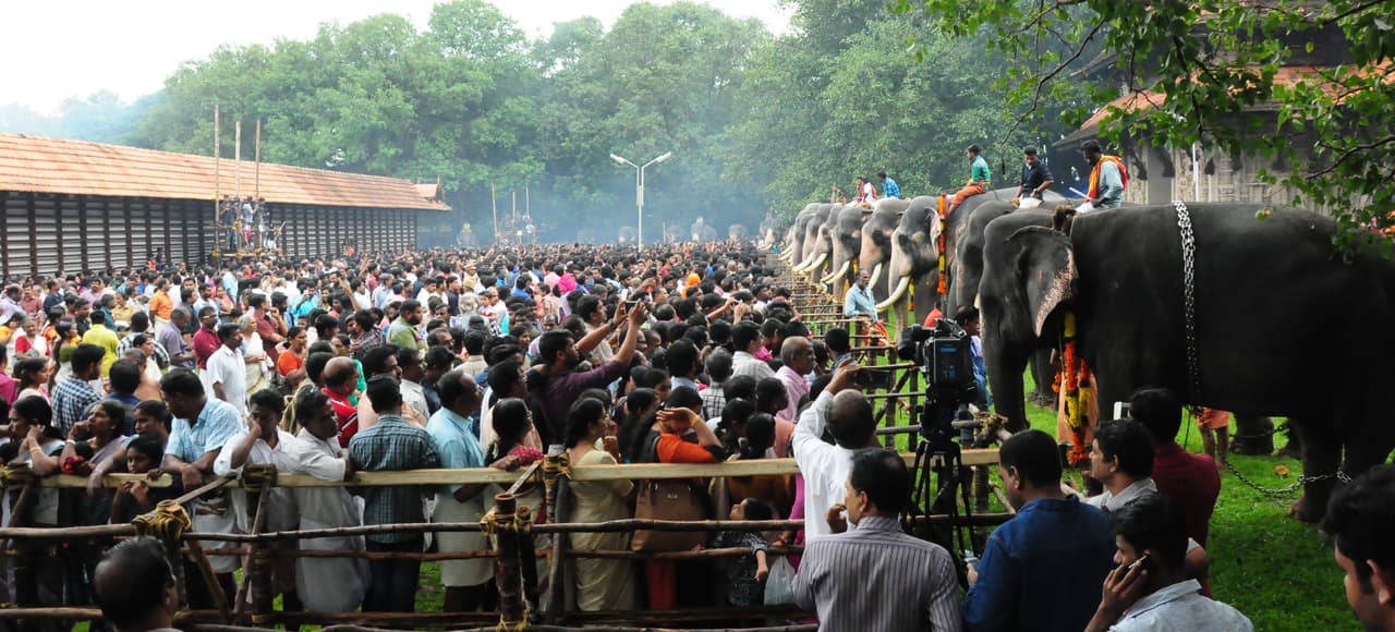 ആനയൂട്ട് ചിത്രങ്ങള് ആനയൂട്ട് ചിത്രങ്ങള്