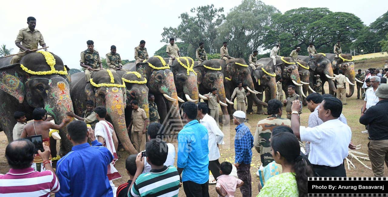 45 ದಿನಗಳ ರಾಜಾತಿಥ್ಯ ಮುಗಿಸಿ ಕಾಡಿಗೆ ಮರಳಿದ ಅರ್ಜುನ ನೇತೃತ್ವದ ಗಜಪಡೆ 45 ದಿನಗಳ ರಾಜಾತಿಥ್ಯ ಮುಗಿಸಿ ಕಾಡಿಗೆ ಮರಳಿದ ಅರ್ಜುನ ನೇತೃತ್ವದ ಗಜಪಡೆ