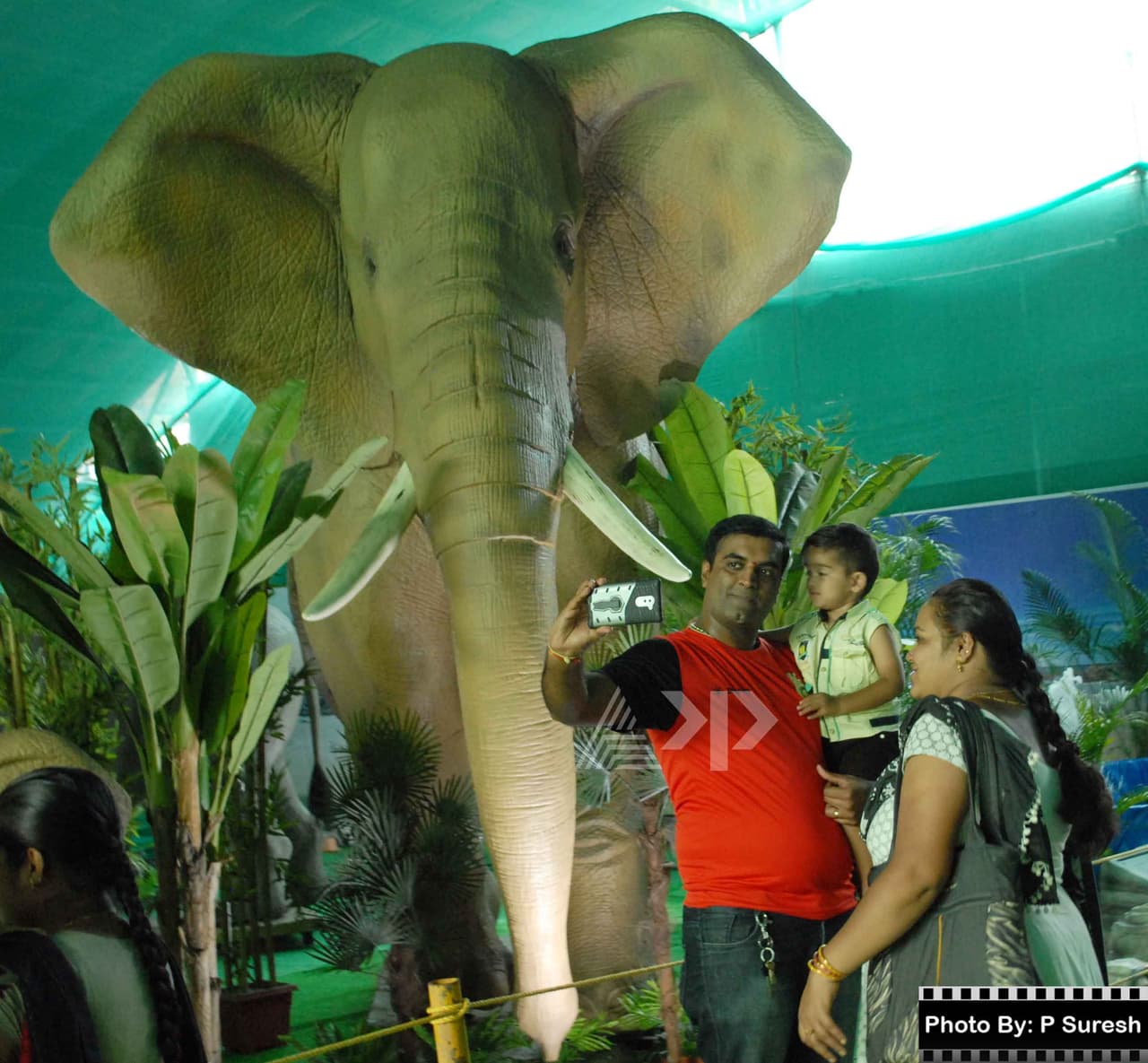 ಆನೆ, ಹುಲಿ, ಸಿಂಹ, ಹೆಬ್ಬಾವು ಬೆಂಗಳೂರಿನಲ್ಲೇ ನೋಡಲು ನಾಳೆ ಕೊನೆಯ ದಿನ ಆನೆ, ಹುಲಿ, ಸಿಂಹ, ಹೆಬ್ಬಾವು ಬೆಂಗಳೂರಿನಲ್ಲೇ ನೋಡಲು ನಾಳೆ ಕೊನೆಯ ದಿನ