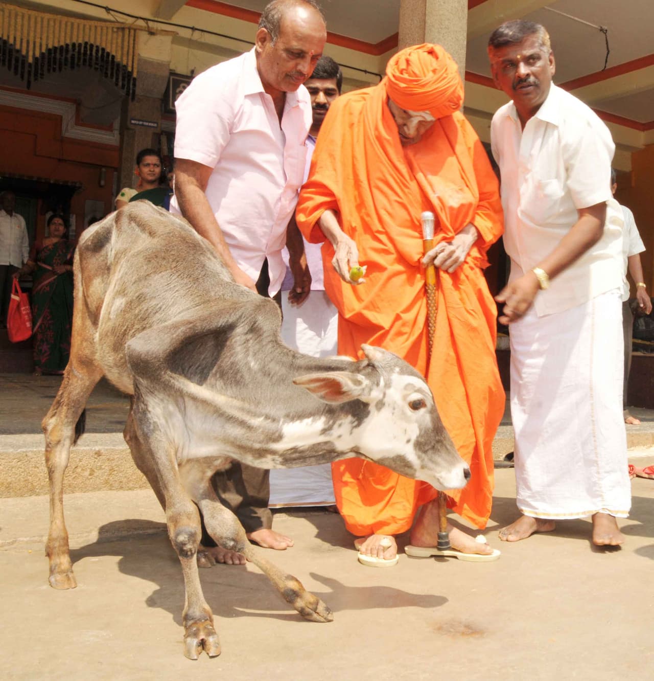 ತ್ರಿವಿಧ ದಾಸೋಹಿ, ಶತಾಯುಷಿ ನಡೆದಾಡುವ ದೇವರು ಡಾ.ಶಿವಕುಮಾರ ಸ್ವಾಮೀಜಿ