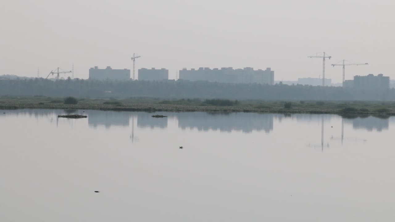 Varthur Lake: From a scenic beauty to toxic froth