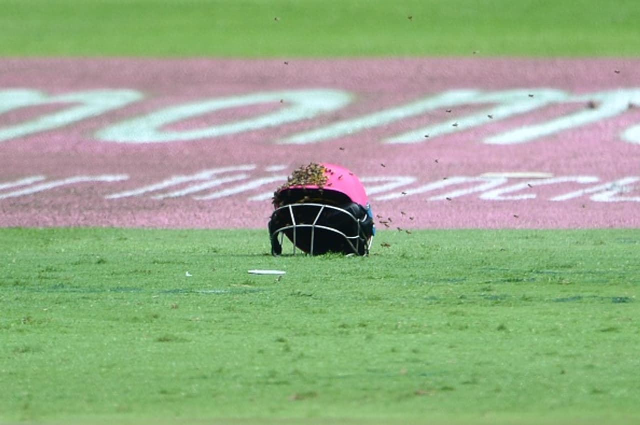 How a swarm of bees invaded South Africa vs Sri Lanka game How a swarm of bees invaded South Africa vs Sri Lanka game