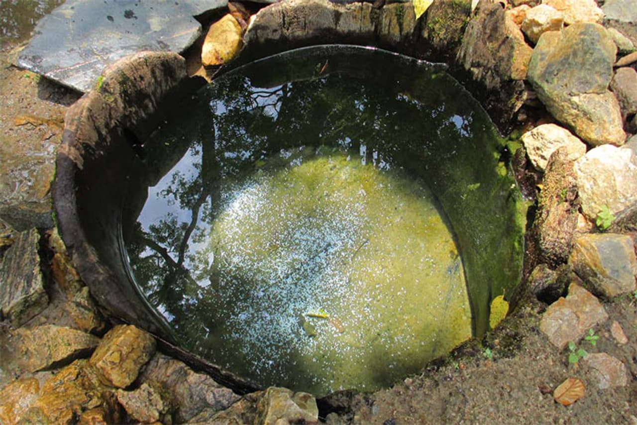 Catching water where it falls: unique Kerala methods