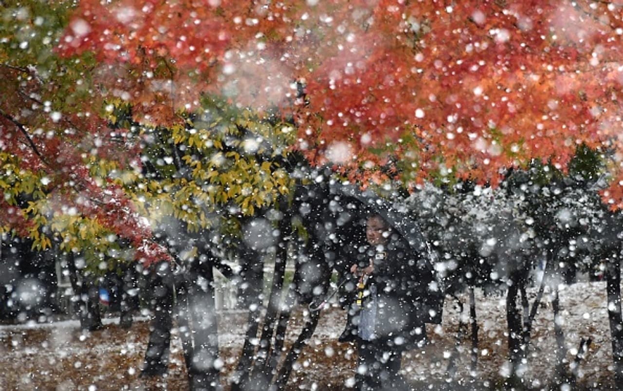 Tokyo sees November snowfall for the 1st time in 54 years