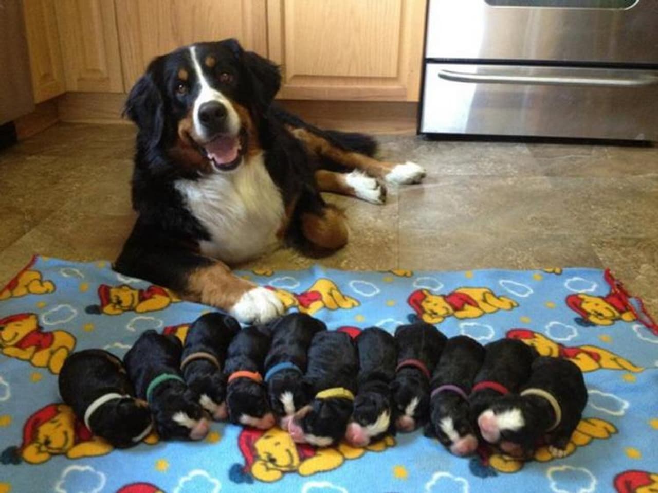 Pics of the day: Proud moms with their babies Pics of the day: Proud moms with their babies