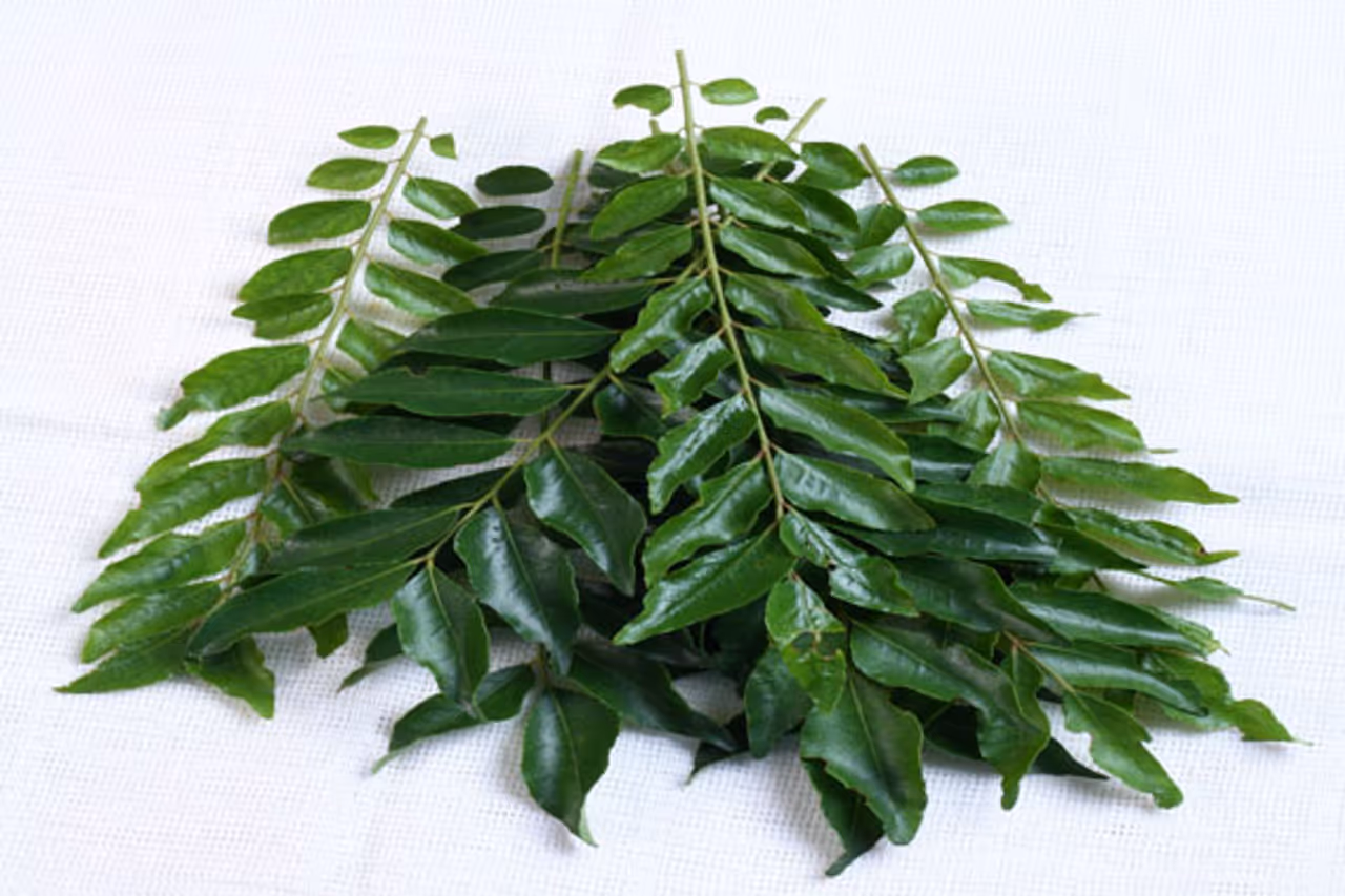 5 pictures that proves Malyalees are different from us 5 pictures that proves Malyalees are different from us