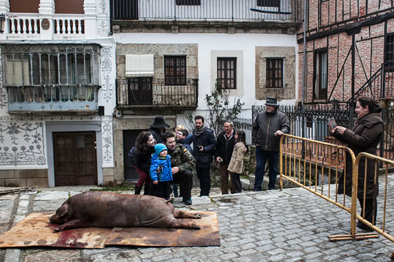 La Matanza: A Traditional Spanish pig slaughter